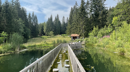 Der Barfußteich wird zum Balanceakt. | © STG | Elisabeth Stolzer