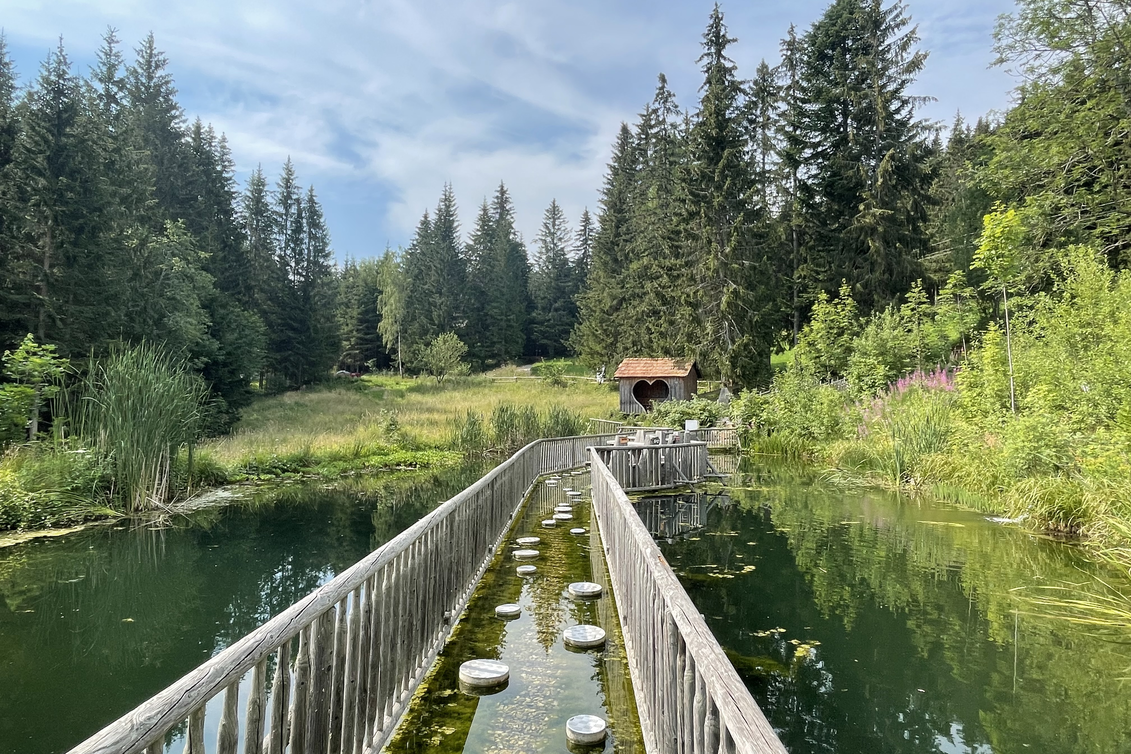 Der Barfußteich wird zum Balanceakt. | © STG | Elisabeth Stolzer