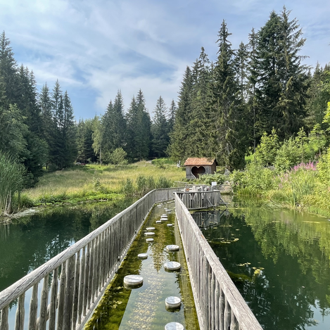 Der Barfußteich wird zum Balanceakt. | © STG | Elisabeth Stolzer