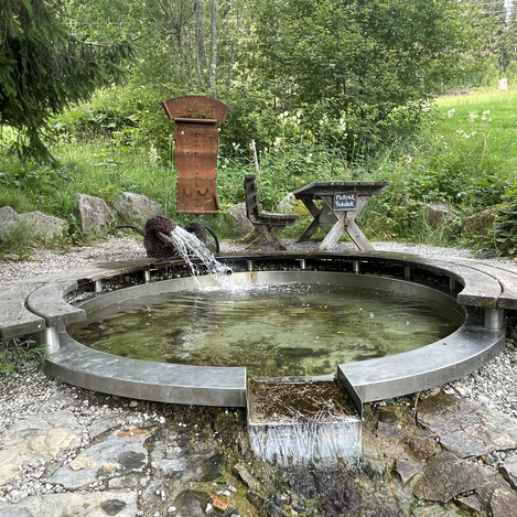 Das frische Quellwasser sprudelt entlang des Bründlwegs. | © STG | Elisabeth Stolzer