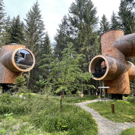 Ganz schön exotisch: Die Baumhäuser am Pogusch.  | © STG | Elisabeth Stolzer