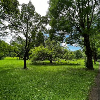 Bad Gleichenberg  Curpark Allee | © STG