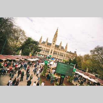 Die Vorbereitungen für den 26. Steiermark-Frühling laufen. | © WSI GmbH | © wsi