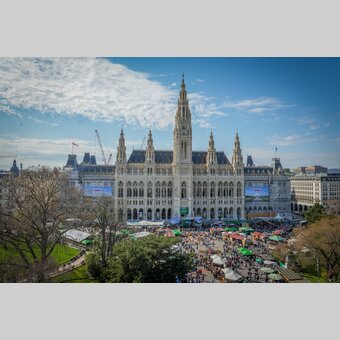 Steirisches Lebensgefühl am Wiener Rathausplatz. | © STG | Jesse Streibl