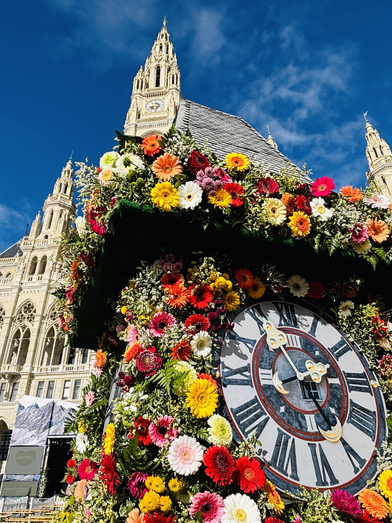 © © STG | Ute Hödl