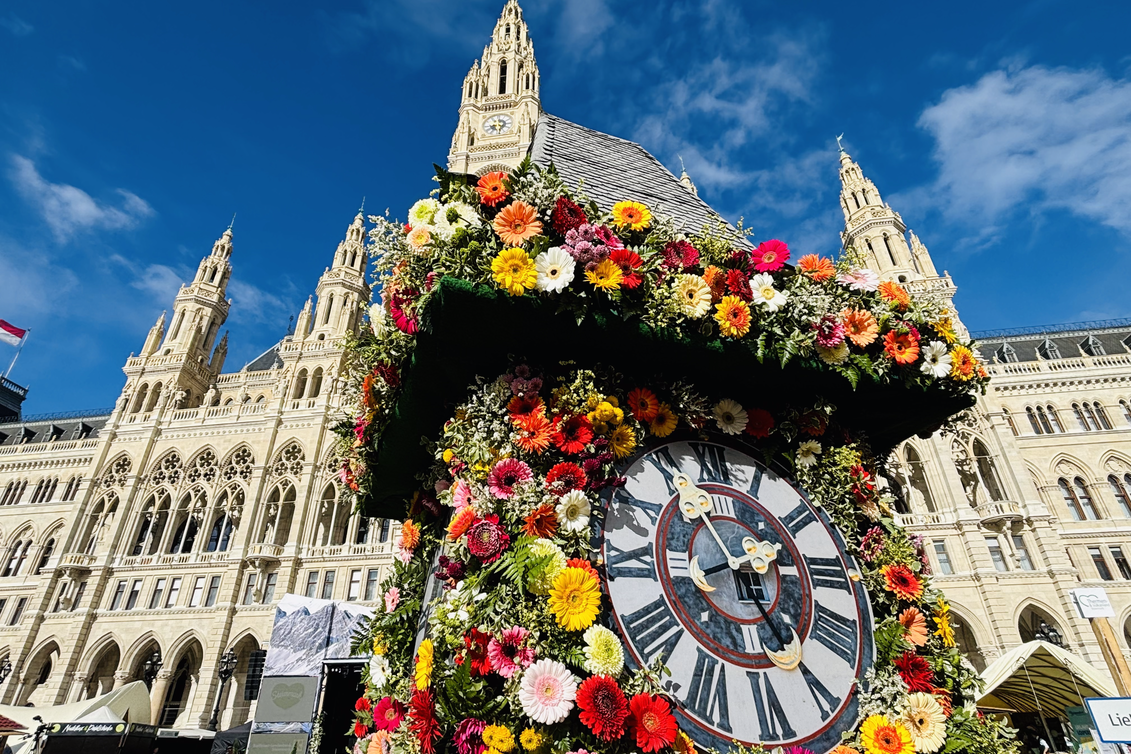 © STG | Ute Hödl | © © STG | Ute Hödl