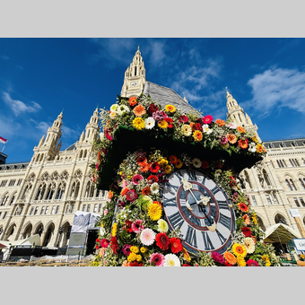 © © STG | Ute Hödl