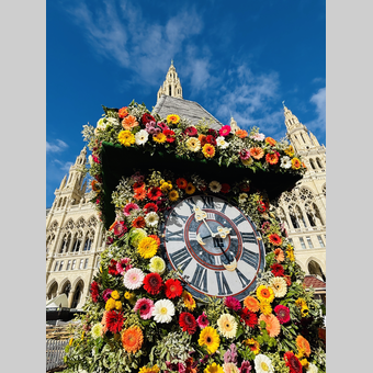 © © STG | Ute Hödl