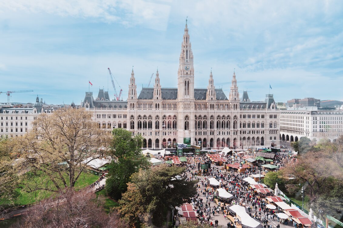 © STG | Michaela Lorber