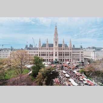 © STG | Michaela Lorber