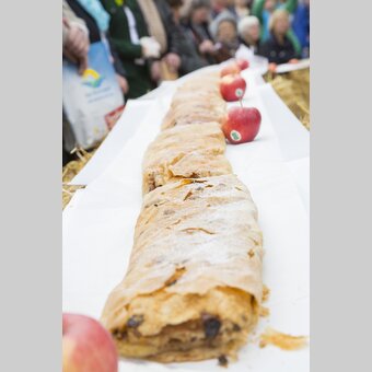 © STG | Jürgen Hammerschmid