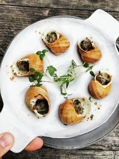 Snail tasting at the Biovinothek Monschein | © monschein | monschein | © monschein