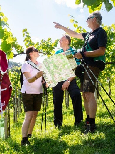 Wandertouren zum Genuss | © Schilcherland Steiermark | Foto Augenblick | © Schilcherland Steiermark