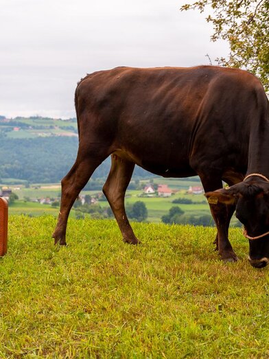 Naturparkpatrner | RMSW Naturparkpartner | © RMSW Naturparkpartner