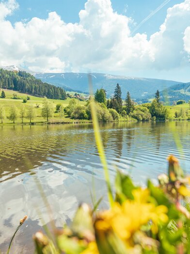 Mühlen Badeteich | René Hochegger