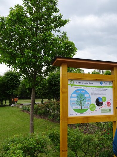 climate future path_pöllau_Eastern Styria | Naturpark Pöllauer Tal | © Naturpark Pöllauer Tal