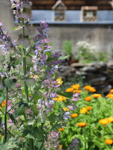 Bienengarten | Naturpark Zirbitzkogel-Grebenzen | © Naturpark Zirbitzkogel-Grebenzen