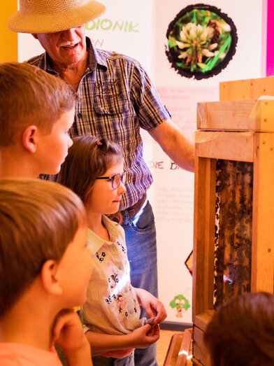 Schaubienenstock | Naturpark Zirbitzkogel-Grebenzen, tricky.pics | © Naturpark Zirbitzkogel-Grebenzen, tricky.pics