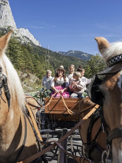 Kutschenfahrt Narzissendorf Zloam | © www.zloam.at | Narzissendorf Zloam | © www.zloam.at