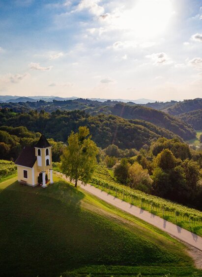 Weinverkostung | © Weinbau Dreisiebner Georg | Maggy & Georg Dreisiebner | Maggy & Georg Dreisiebner | © Weinbau Dreisiebner Georg | Maggy & Georg Dreisiebner