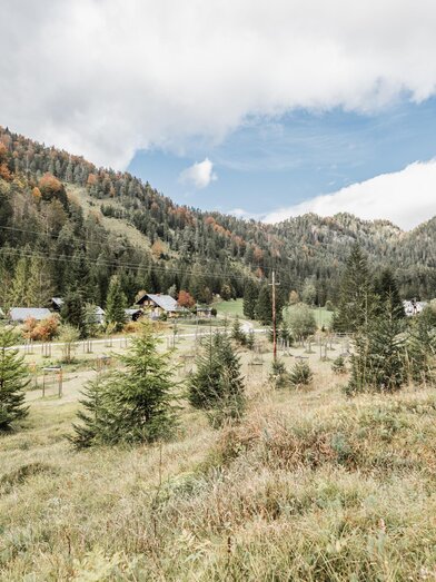 Streuobstwiese Wildalpen | © Thomas Sattler | © Thomas Sattler