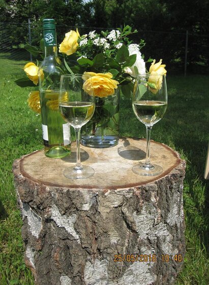 Picknick im Garten | © Villa zur Schmied'n | Petra Zirngast | © Villa zur Schmied'n | Petra Zirngast