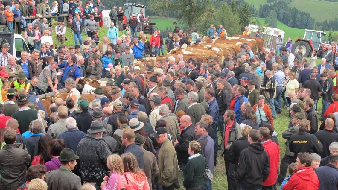 Eine große Menschenmenge versammelt sich auf einer Wiese, um an einem traditionellen Fest teilzunehmen. Im Hintergrund sind Fahrzeuge und eine typische Landschaft mit Bergen zu sehen. | © FA SOMA, Fischbach