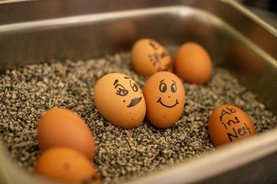 zu sehen sind bemalte Ostereier. | © Karl Schrotter