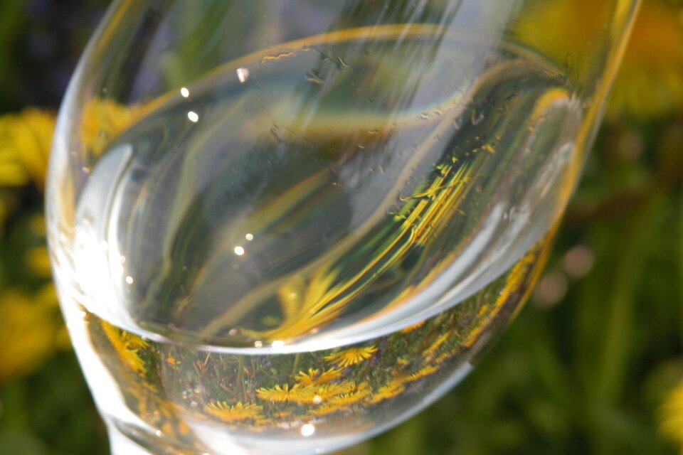 Ein Glas Wasser, das in der Sonne funkelt. Im Hintergrund sind gelbe Blumen zu sehen.