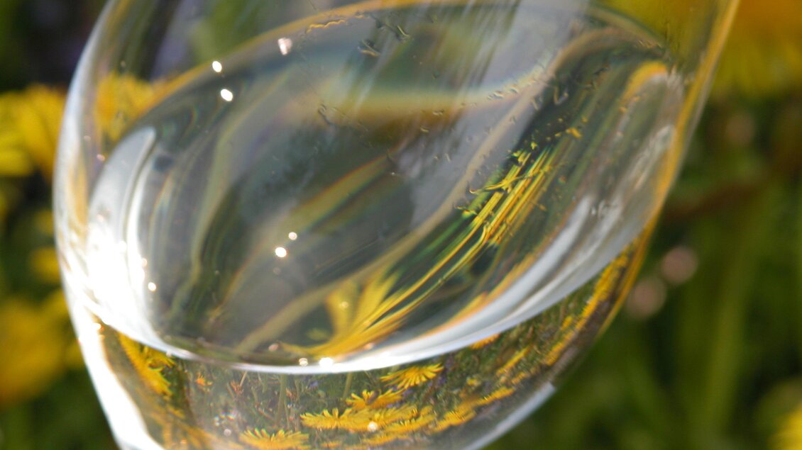 Ein Glas Wasser, das in der Sonne funkelt. Im Hintergrund sind gelbe Blumen zu sehen.