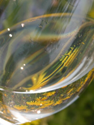 A glass of water sparkling in the sun. In the background, yellow flowers can be seen.