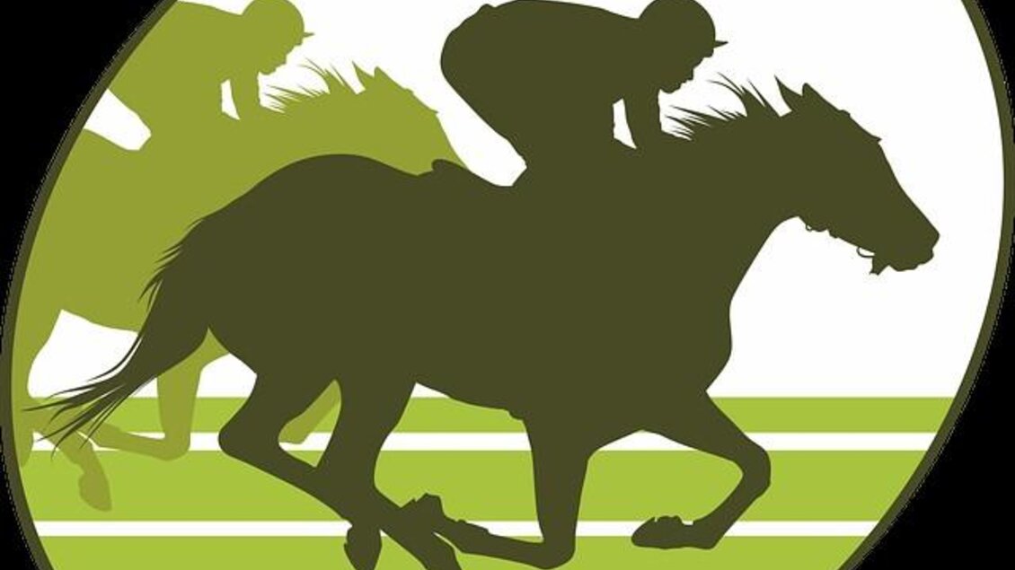 Zwei Reiter auf schnellen Pferden in einem Rennen. Silhouetten der Pferde und Jockeys auf einem einfarbigen Hintergrund. | © Pixabay