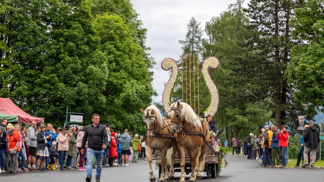 Pferdekutsche | © Michael Simonlehner