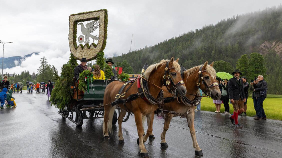 Frühlingsfest der Pferde | © Michael Simonlehner