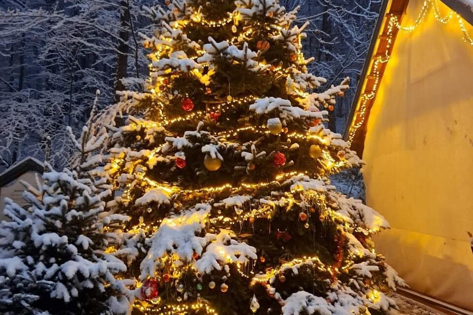Ein schön geschmückter Weihnachtsbaum mit Lichtern in einer verschneiten Winterlandschaft. Im Hintergrund sind schneebedeckte Sträucher und ein Teil eines Hauses sichtbar. | © Brauchtumsverein_St.Andrä-Höch