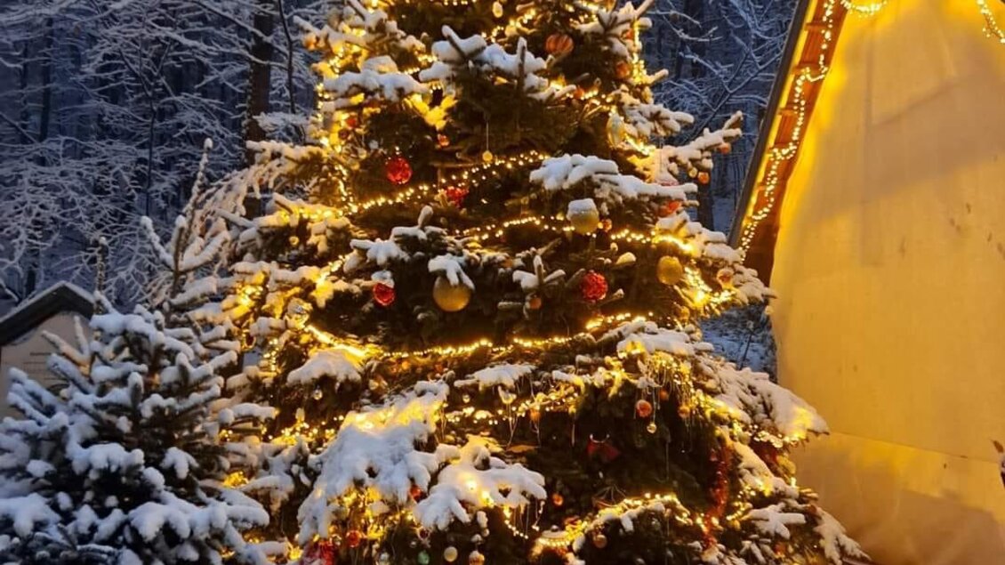 Ein schön geschmückter Weihnachtsbaum mit Lichtern in einer verschneiten Winterlandschaft. Im Hintergrund sind schneebedeckte Sträucher und ein Teil eines Hauses sichtbar. | © Brauchtumsverein_St.Andrä-Höch