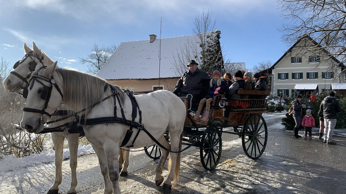 Winterliche Kutschenfahrt beim Moarhofhechtl in Passail | © Tourismusverband Oststeiermark