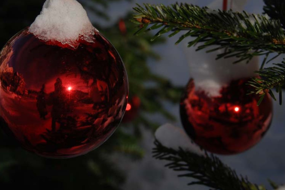 Rote Weihnachtskugel | © Pirker