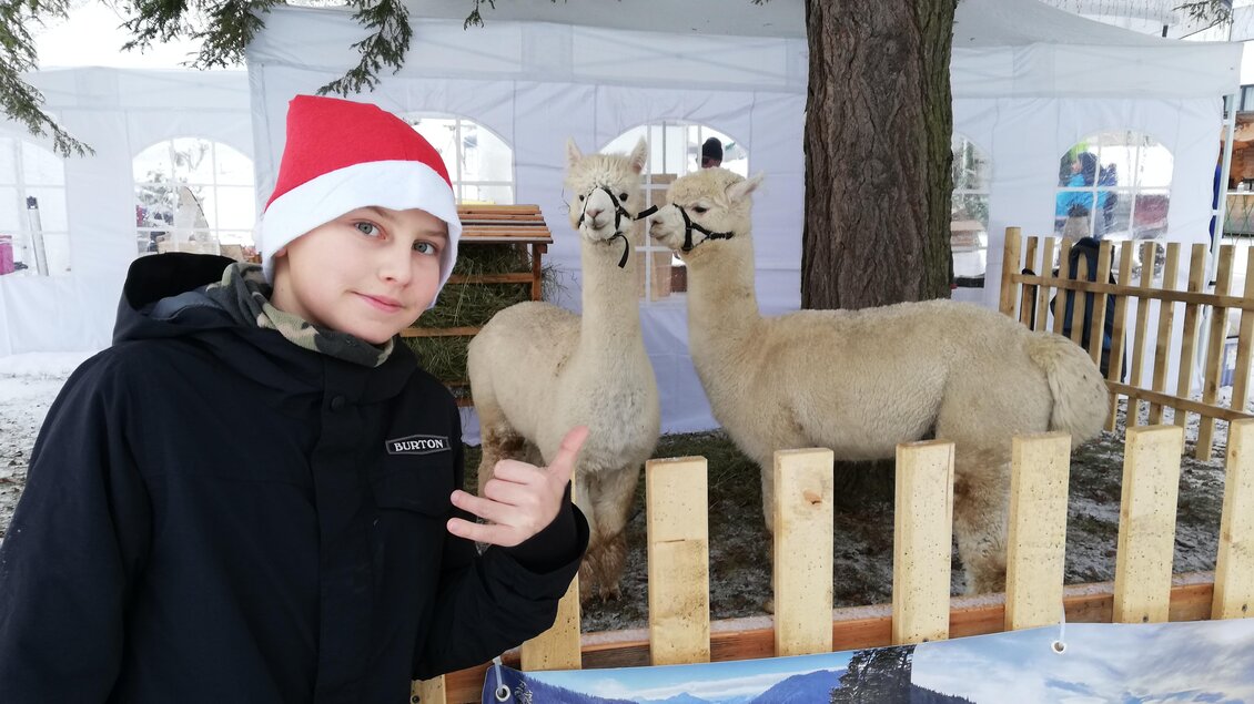 Ein Junge mit einem roten Weihnachtsmannhut steht neben zwei Alpakas. Im Hintergrund sind Zelte und eine winterliche Landschaft zu sehen. | © Kirtagsverein