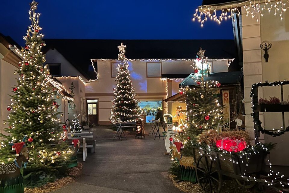 Ein festlich geschmückter Innenhof mit beleuchteten Weihnachtsbäumen und Weihnachtsdekoration. Die Atmosphäre ist stimmungsvoll und einladend in der Dämmerung. | © Malu