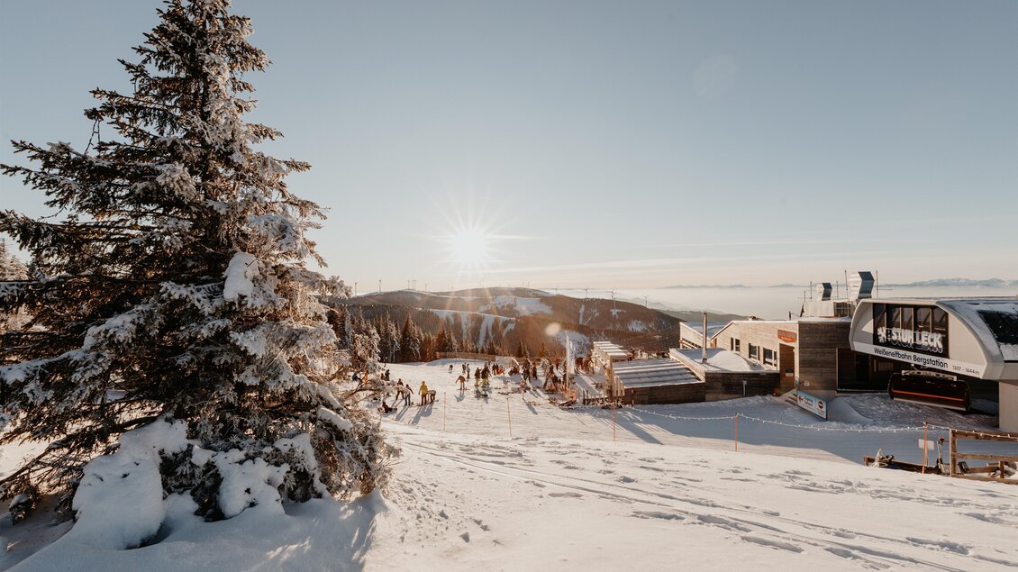 Eine verschneite Winterlandschaft mit einem großen Baum im Vordergrund. Im Hintergrund sind Skifahrer und eine Berghütte mit Sonnenschein zu sehen. | © nicoleseiser.at