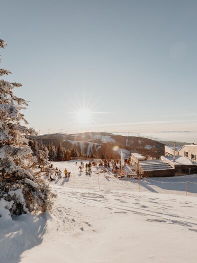 A snowy winter landscape with a large tree in the foreground. In the background, skiers and a mountain cabin can be seen with sunshine. | © nicoleseiser.at
