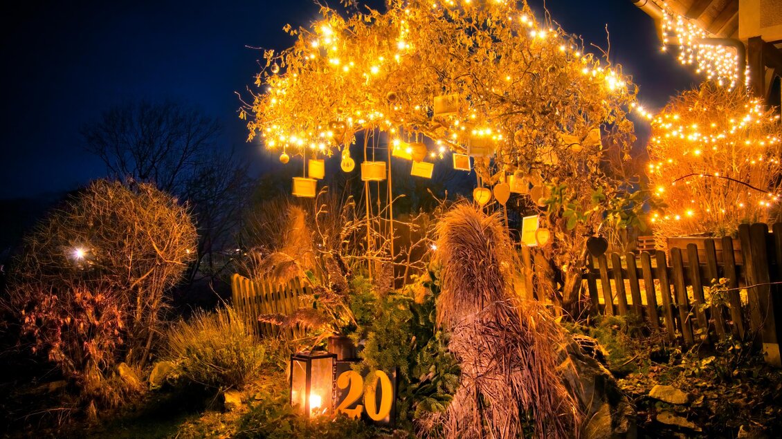 Station Nr. 20 - Wünschebaum bei Nacht | © Franz Harb