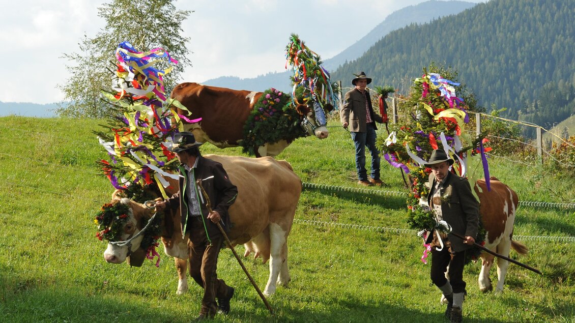 Bunt geschmückte Kühe werden auf einer grünen Wiese begleitet von Menschen mit traditionellen Kleidern. Die Berge im Hintergrund vervollständigen die idyllische Landschaft. | © Josef Wieser