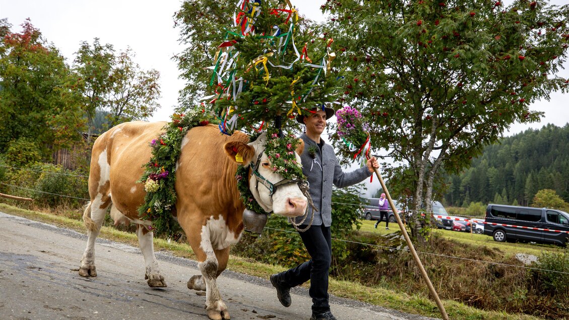Almabtrieb, geschmückte Kuh mit Bauer. | © Region Murau