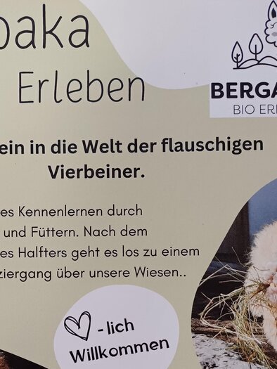 An inviting poster for the organic experience farm Bergalpaka. It showcases the opportunity to experience alpacas and participate in a walk with the animals. | © Bergalpaka Bio Erlebnishof