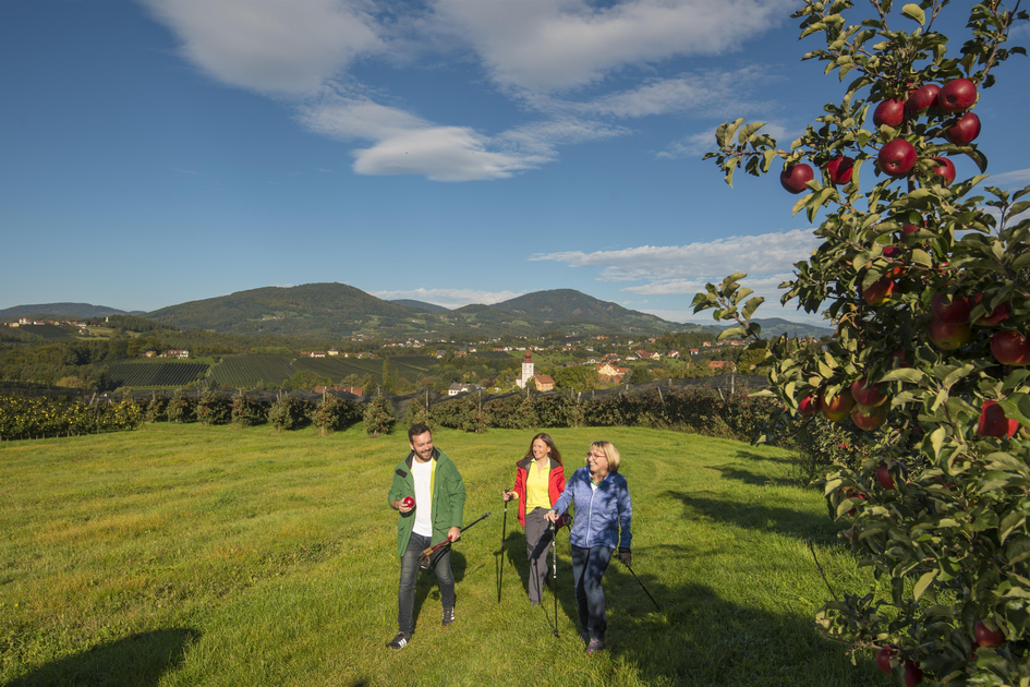 Apfelstrasse_Oststeiermark | © Tourismusverband Oststeiermark | Bernhard Bergmann | © Tourismusverband Oststeiermark