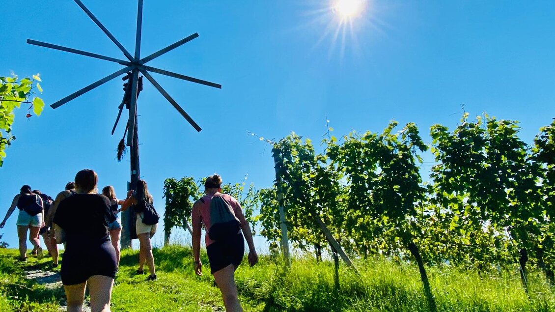 Menschen gehen einen schmalen Weg in einem Weinberg. Über ihnen strahlt die Sonne am klaren blauen Himmel. | © CDM Incoming