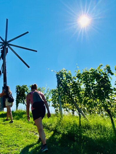 People walk along a narrow path in a vineyard. Above them, the sun shines in the clear blue sky. | © CDM Incoming