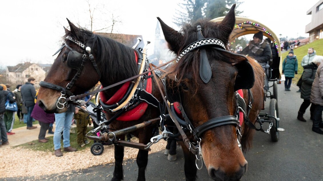 Pferde einer Kutsche vorgespannten, warten auf Gäste für eine Kutschenfahrt.  | © Region Graz-Harry Schiffer